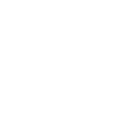 analyse-référencement-seo-belgique
