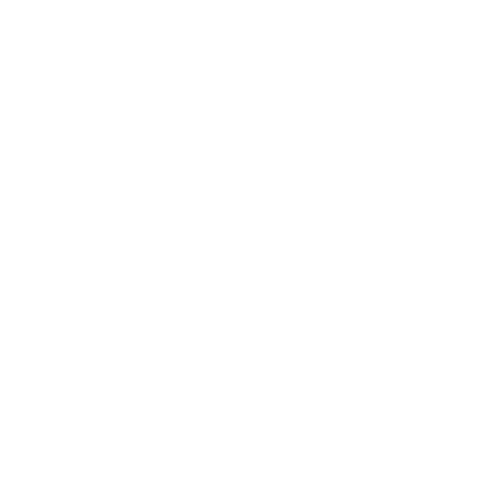 automatisation IA Belgique