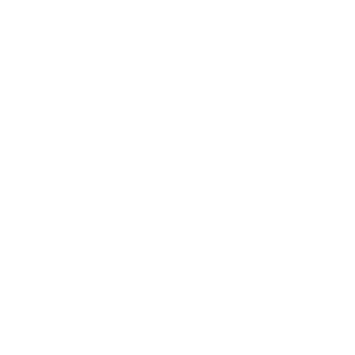 formation réseaux sociaux belgique (1)