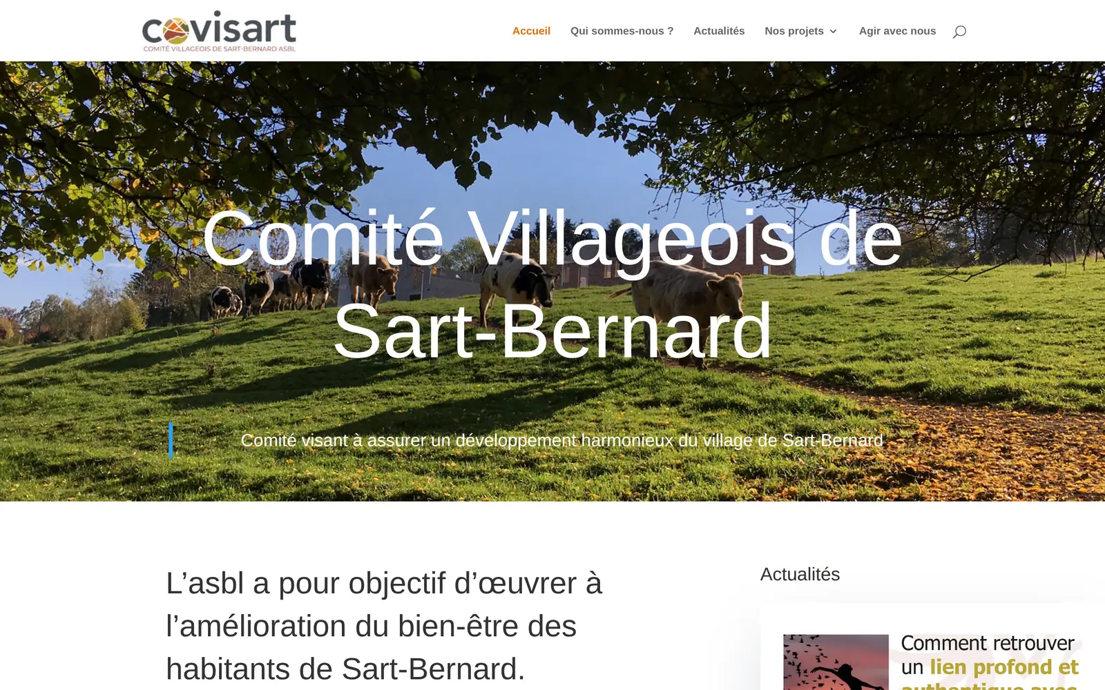 Page d’accueil du site de l’ASBL Covisart, comité villageois de Sart-Bernard